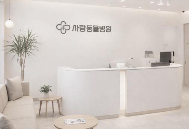 이미지2